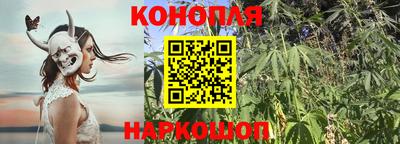 шишки Комсомольск-на-Амуре
