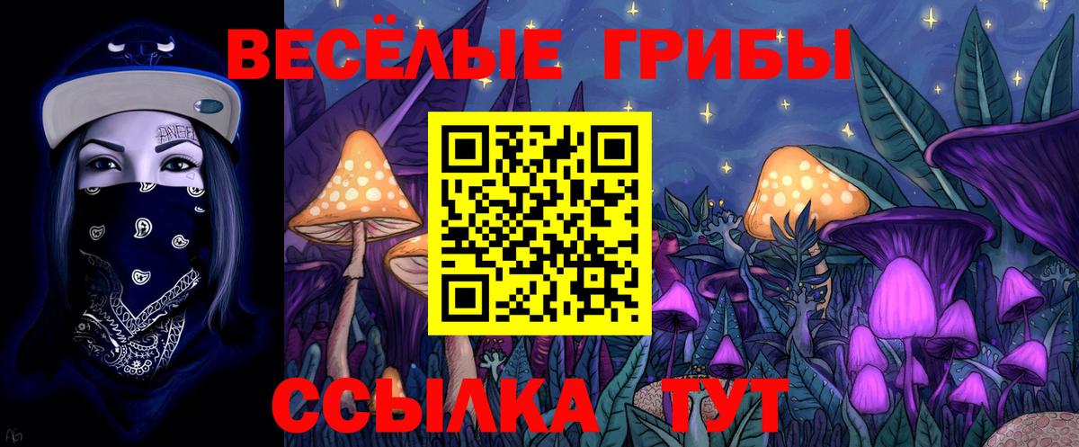 Галлюциногенные грибы Psilocybine cubensis  Псилоцибиновые грибы Psilocybe  Вход с VPN  Кызыл 